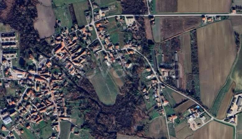 immagine annuncio 9 di 13