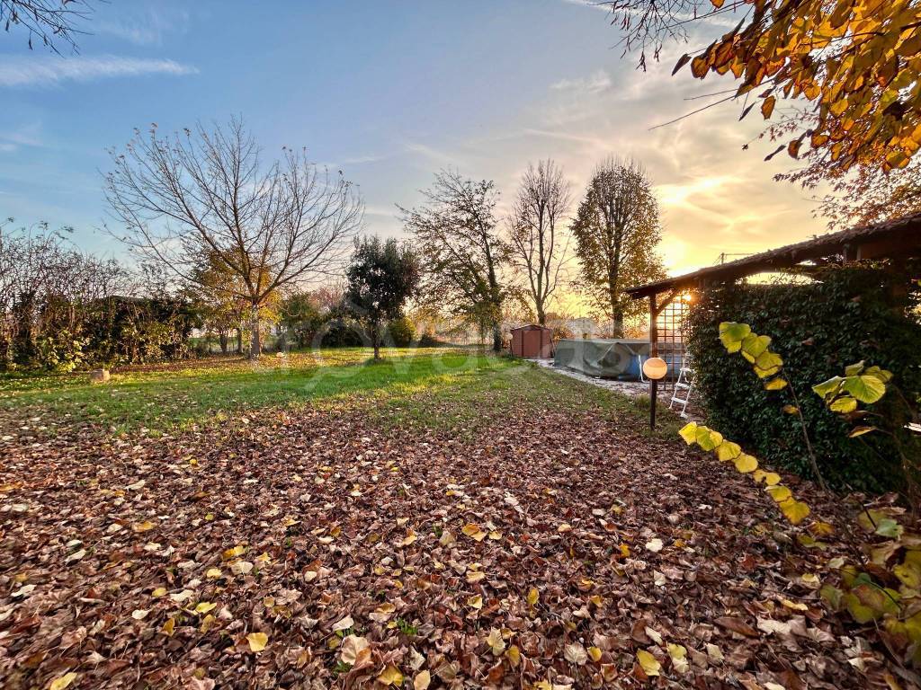 immagine annuncio 7 di 8