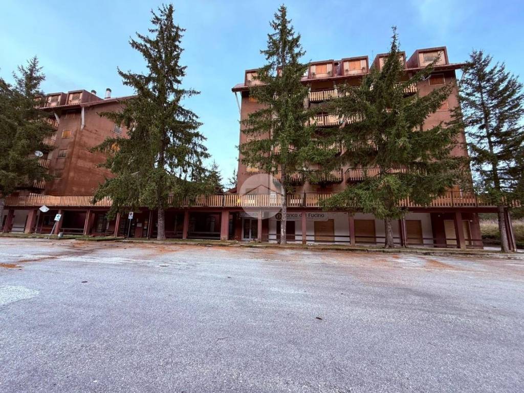 immagine annuncio 11 di 14