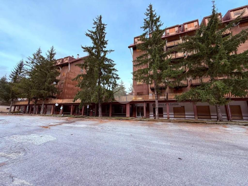 immagine annuncio 12 di 14