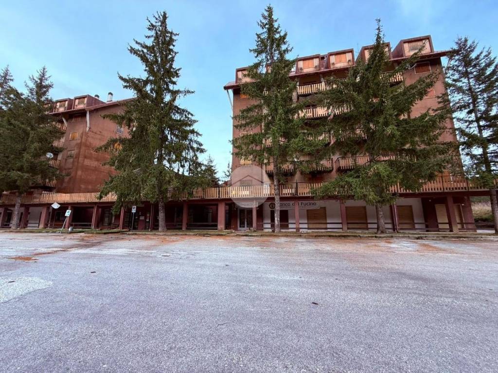 immagine annuncio 13 di 14