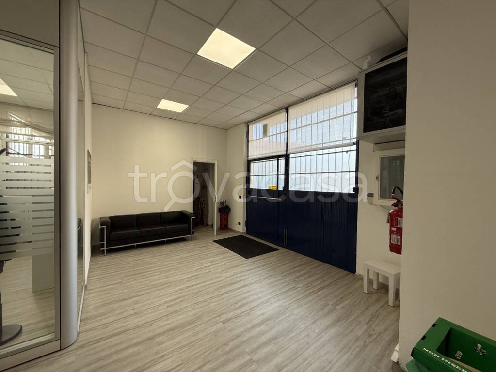 immagine annuncio 3 di 14