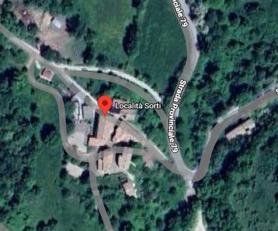 immagine annuncio 11 di 12