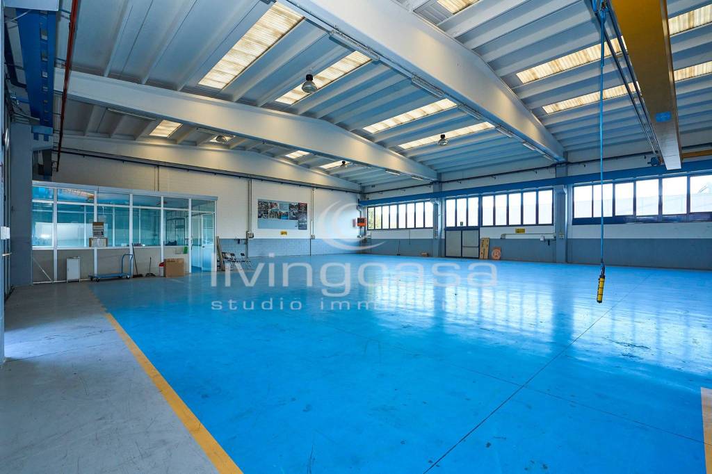 immagine annuncio 4 di 15