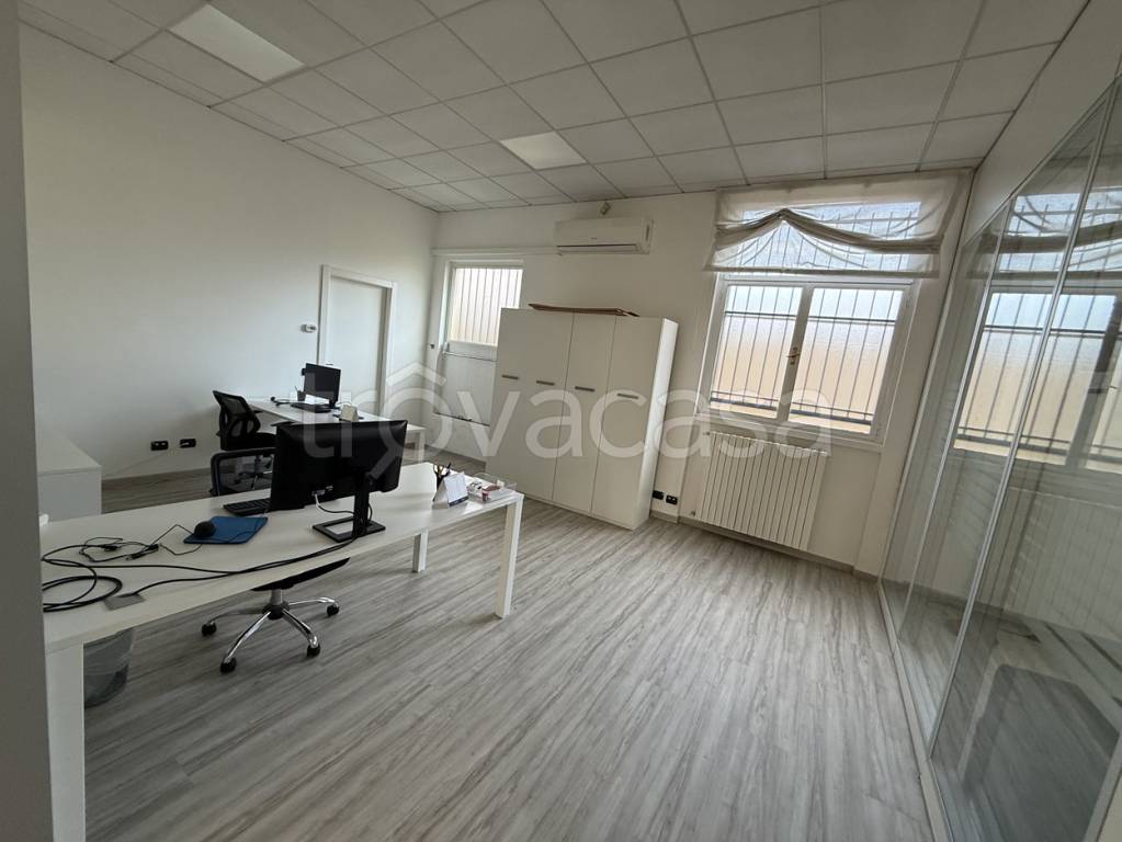 immagine annuncio 10 di 14