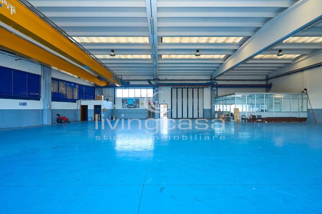 immagine annuncio 6 di 15