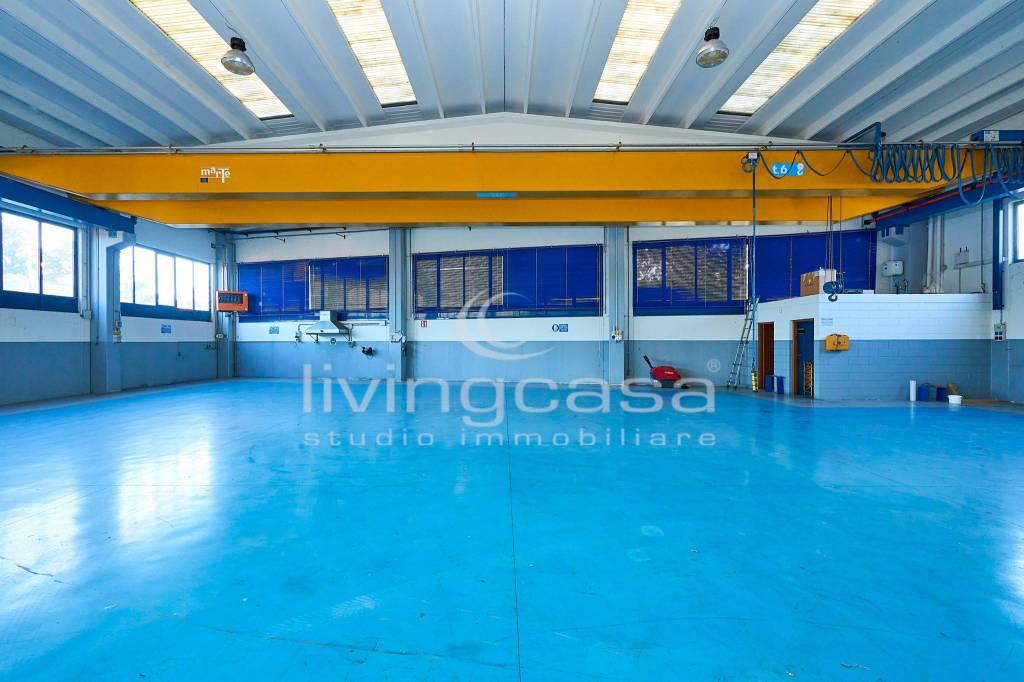 immagine annuncio 9 di 15