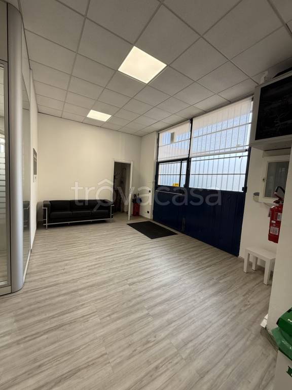 immagine annuncio 11 di 14