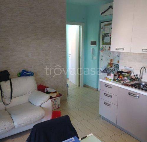 immagine annuncio 1 di 12