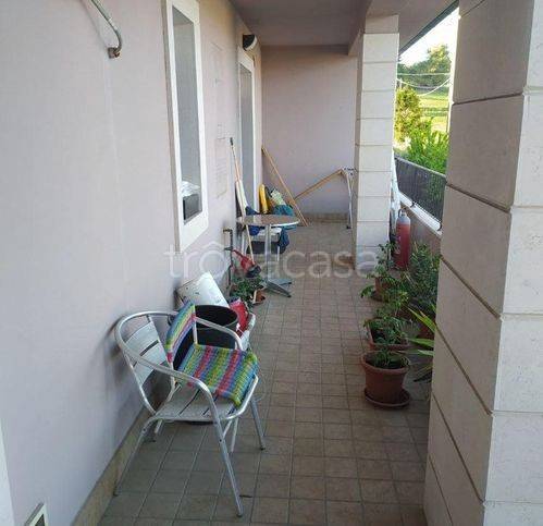 immagine annuncio 7 di 12