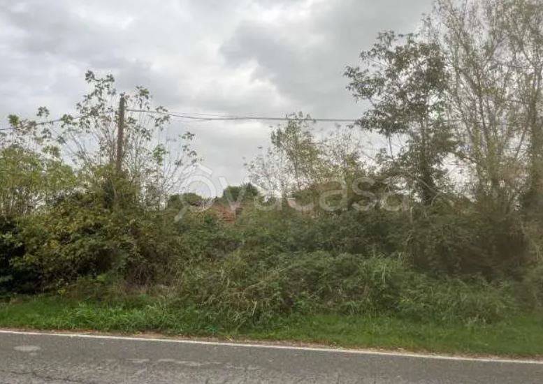 immagine annuncio 3 di 6