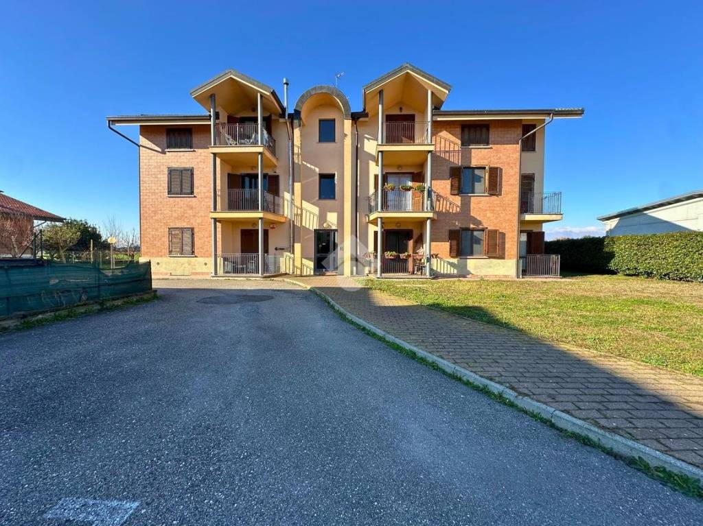 immagine annuncio 12 di 14