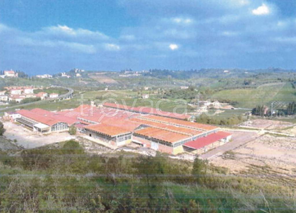 immagine annuncio 9 di 11