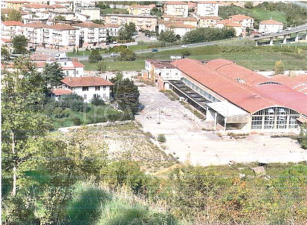 immagine annuncio 10 di 11