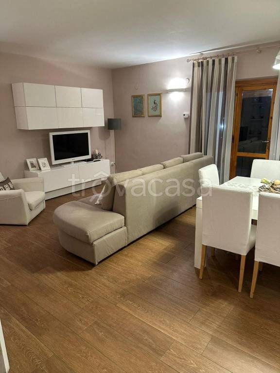 immagine annuncio 4 di 14