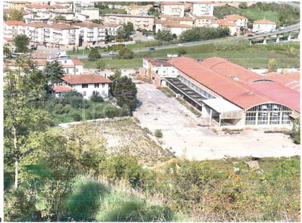 immagine annuncio 8 di 11