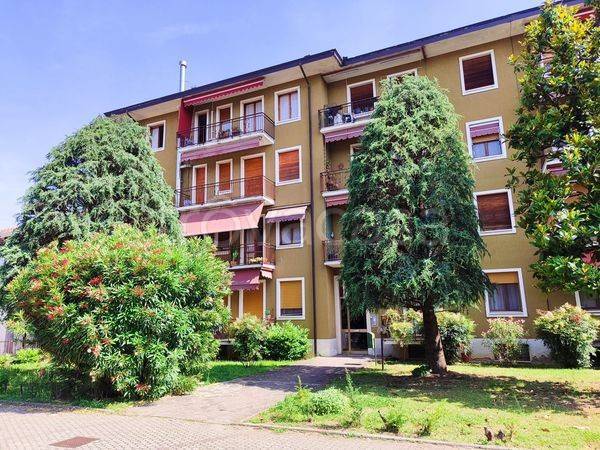 immagine annuncio 1 di 15