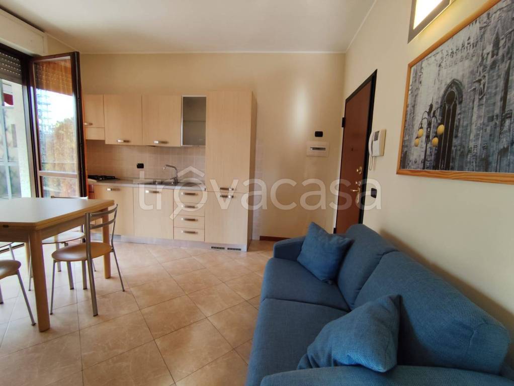 immagine annuncio 8 di 15