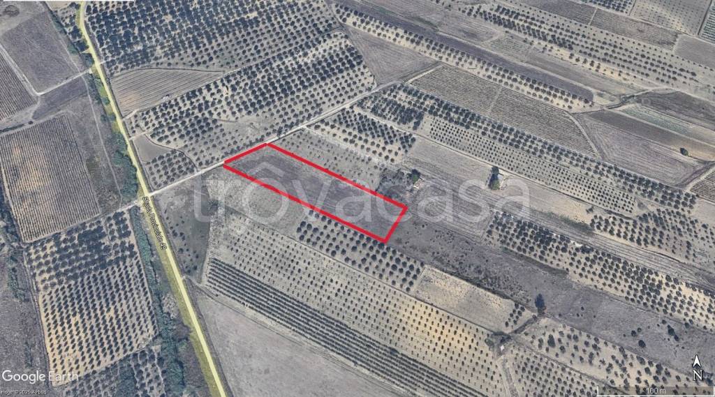 immagine annuncio 3 di 4