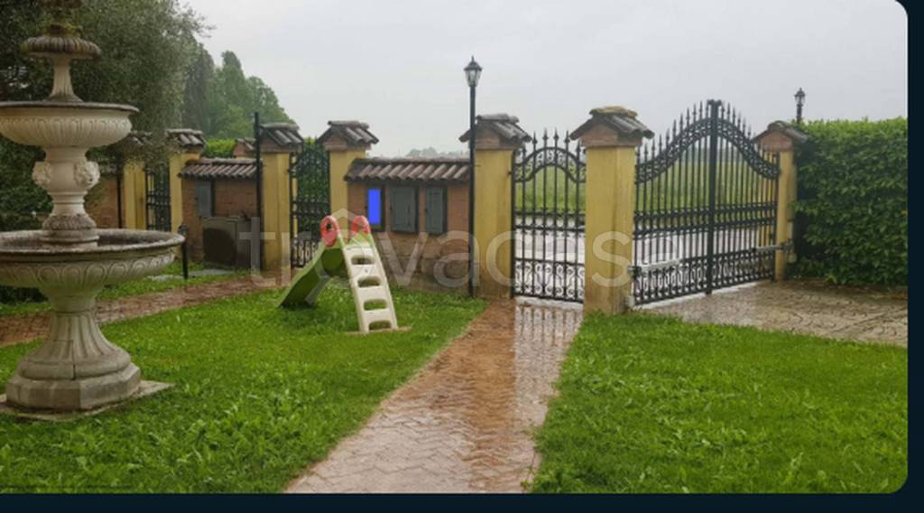 immagine annuncio 3 di 12