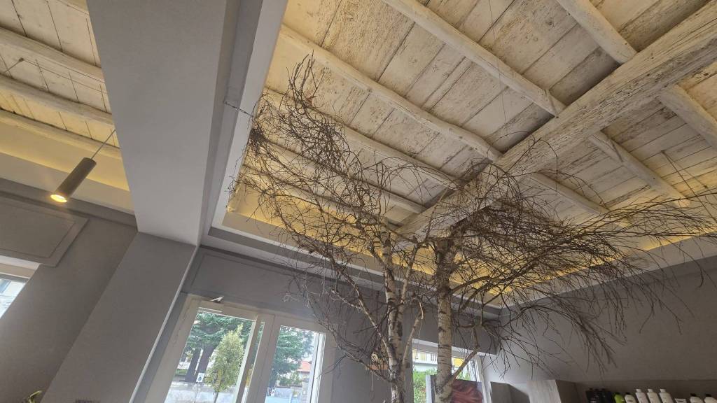 immagine annuncio 5 di 14