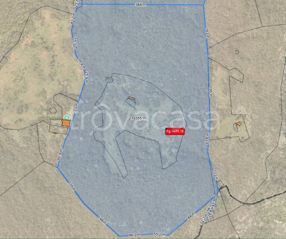 immagine annuncio 2 di 7