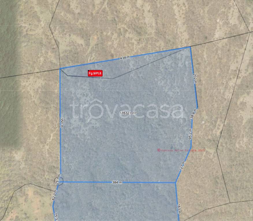 immagine annuncio 3 di 7