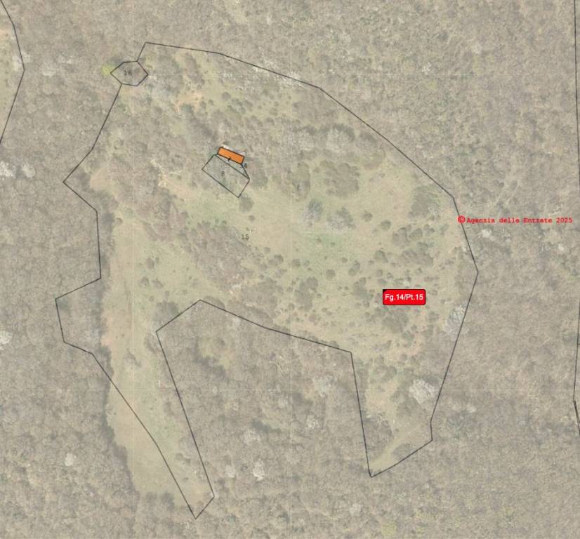 immagine annuncio 5 di 7