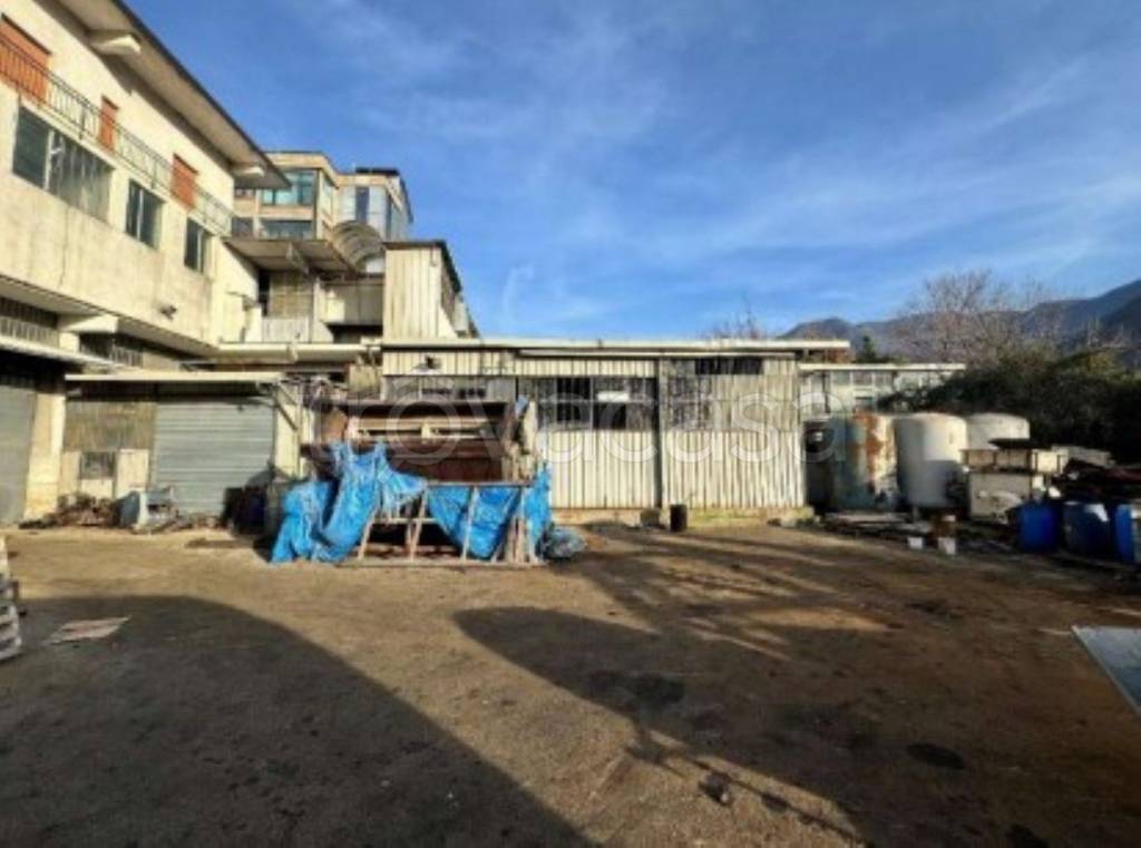 immagine annuncio 2 di 12