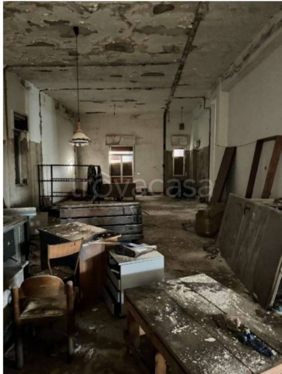 immagine annuncio 3 di 12