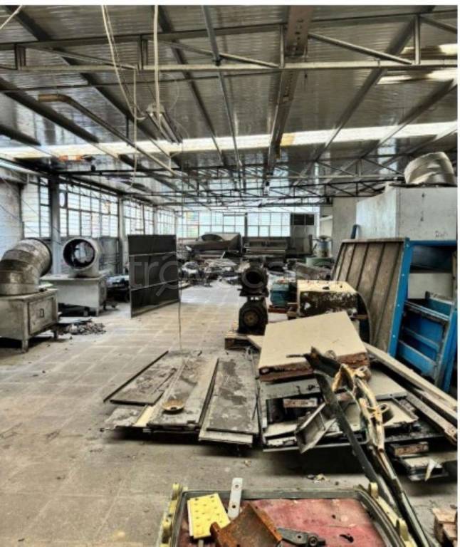 immagine annuncio 4 di 12