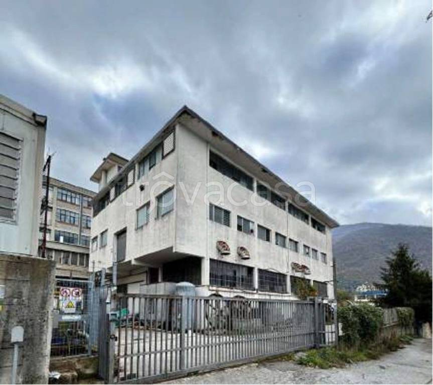 immagine annuncio 7 di 12