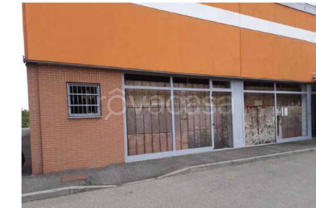 immagine annuncio 3 di 11