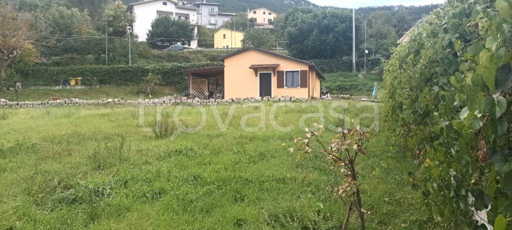 immagine annuncio 1 di 4