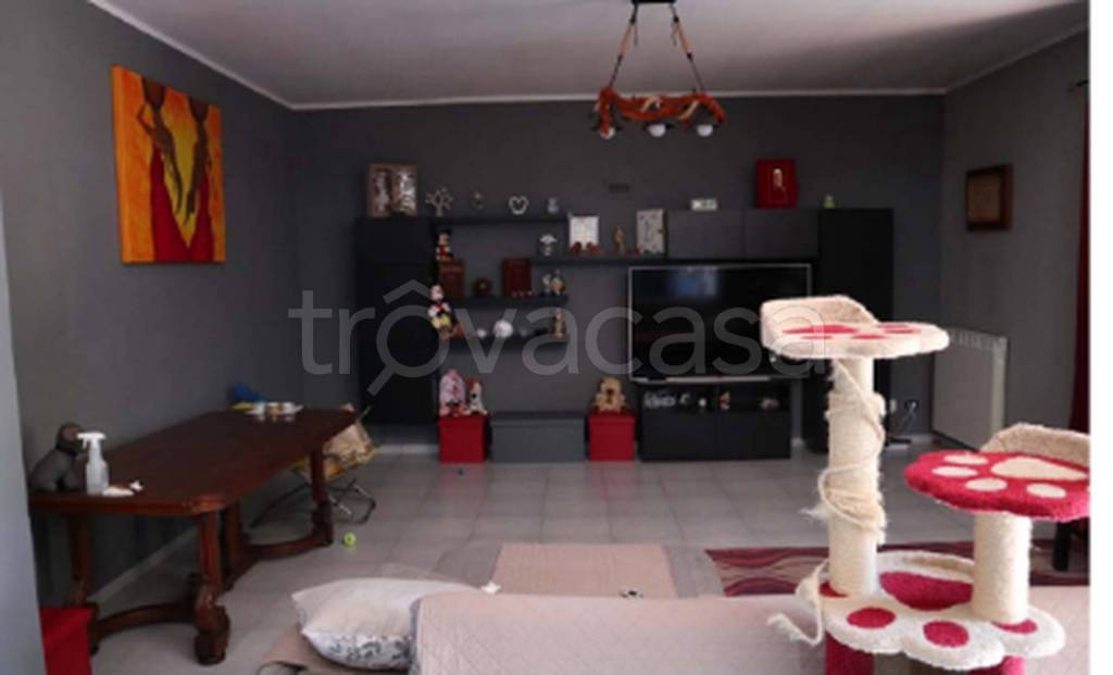 immagine annuncio 6 di 11