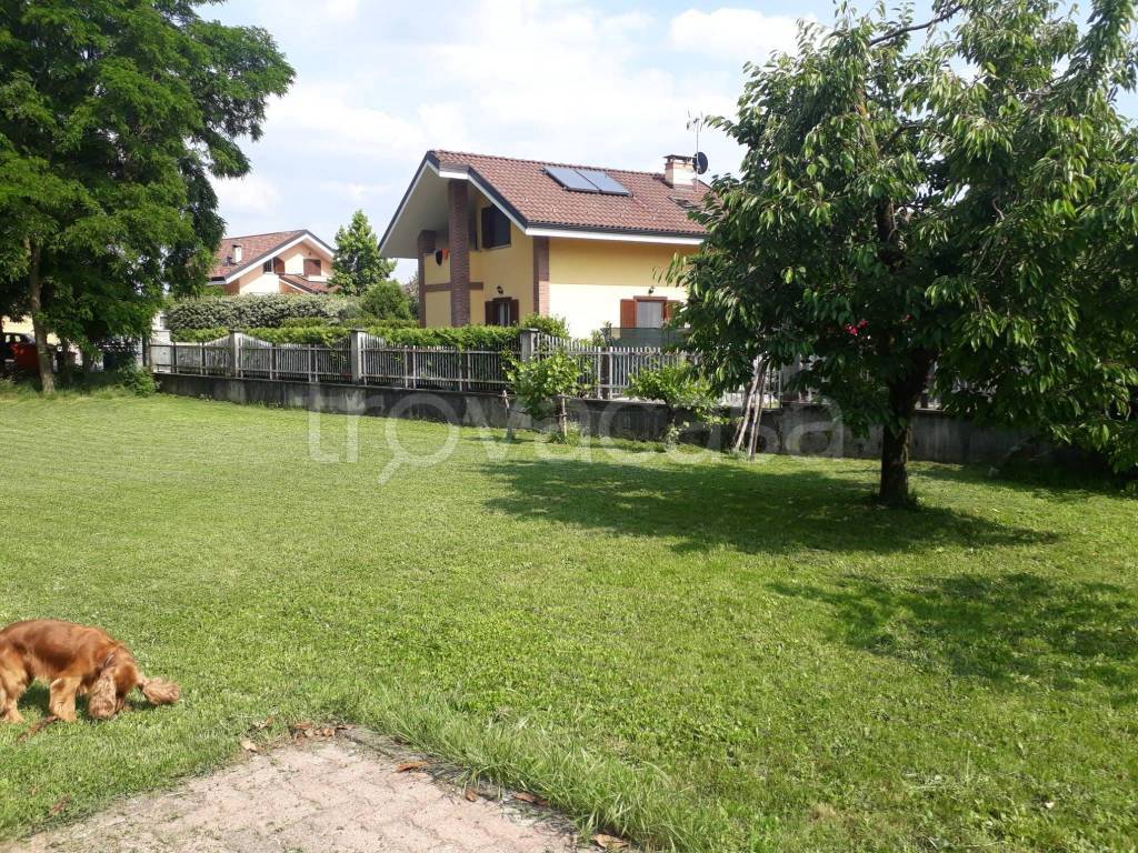 immagine annuncio 4 di 15