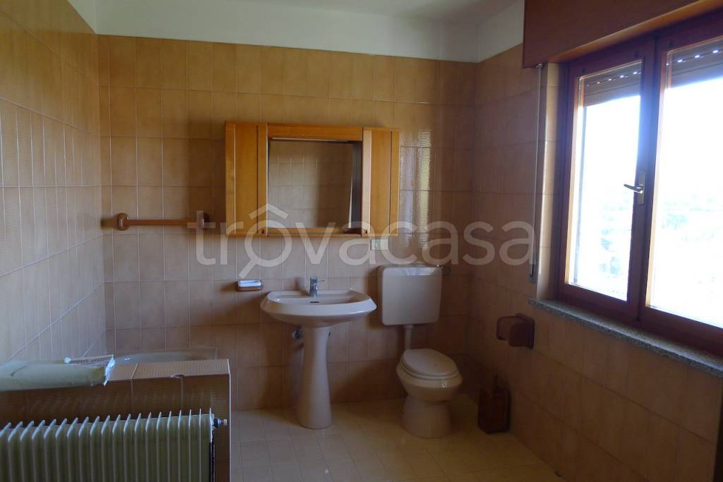 immagine annuncio 10 di 14