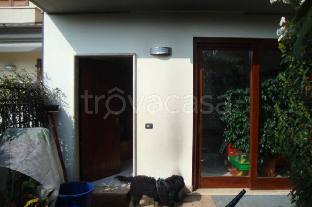 immagine annuncio 3 di 15