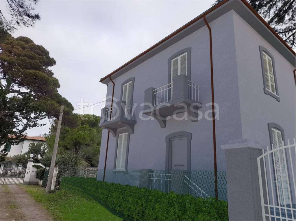 immagine annuncio 3 di 7