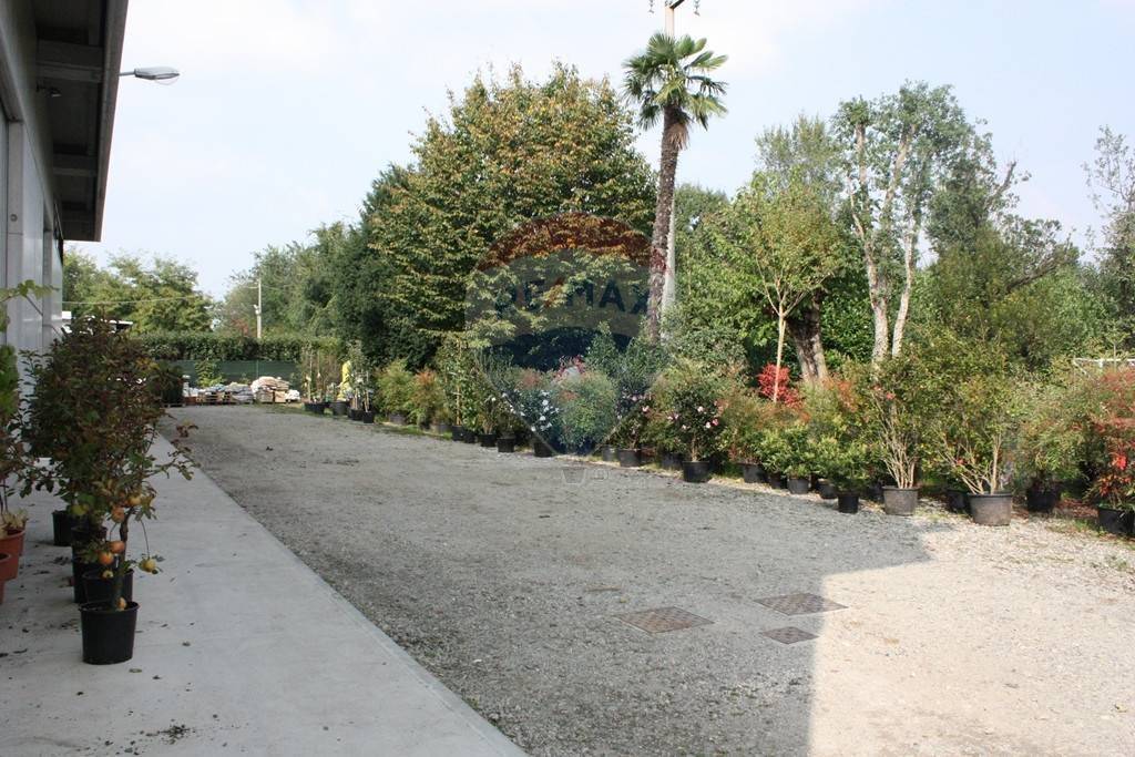 immagine annuncio 4 di 13