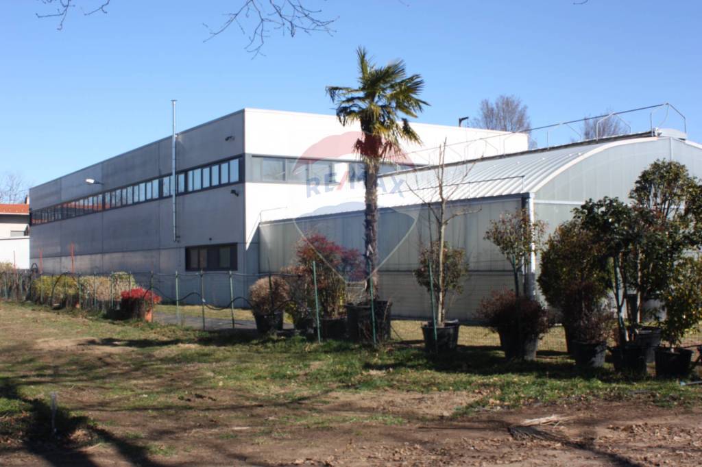 immagine annuncio 8 di 13