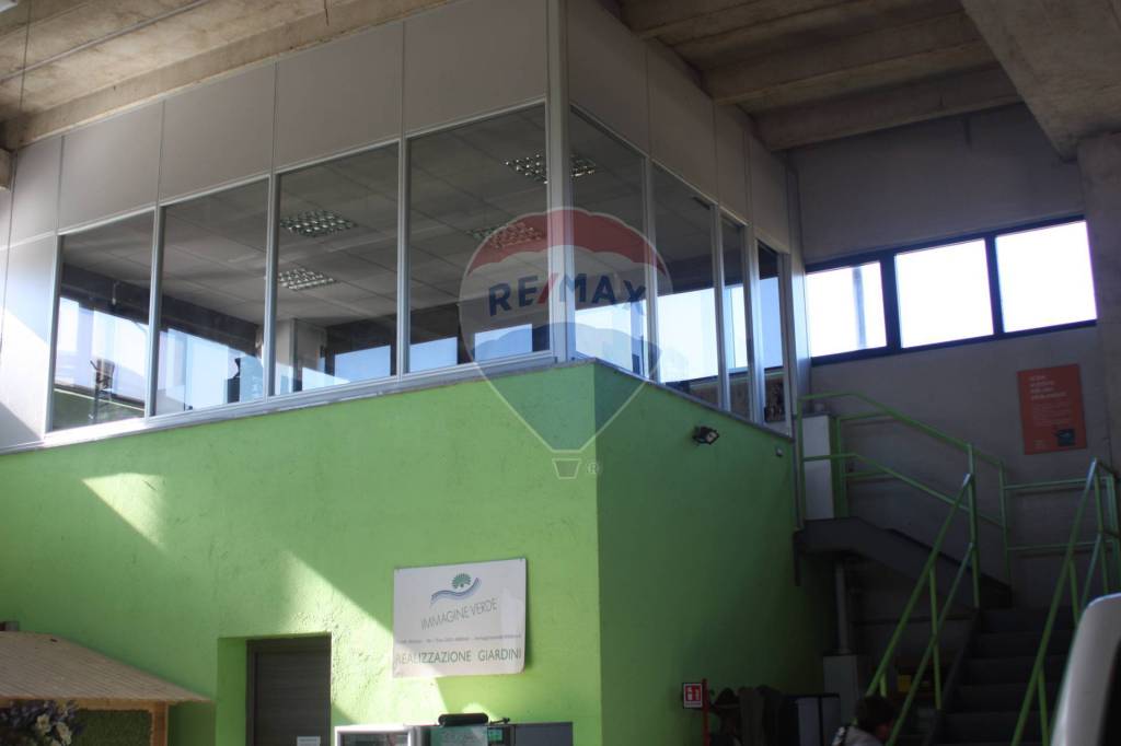 immagine annuncio 9 di 13