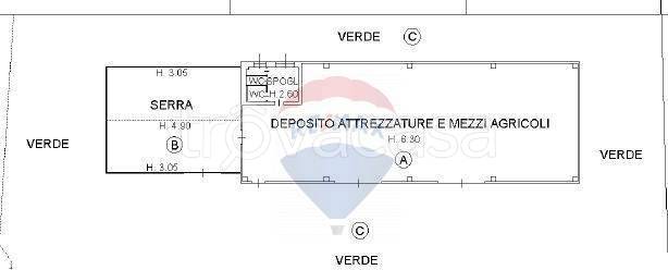 immagine annuncio 12 di 13