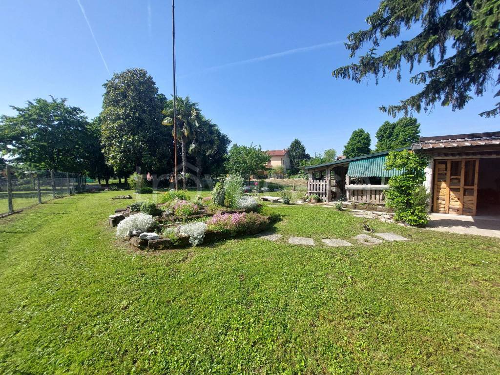 immagine annuncio 9 di 15