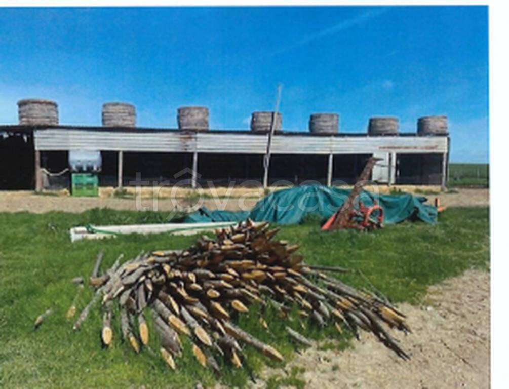 immagine annuncio 1 di 11