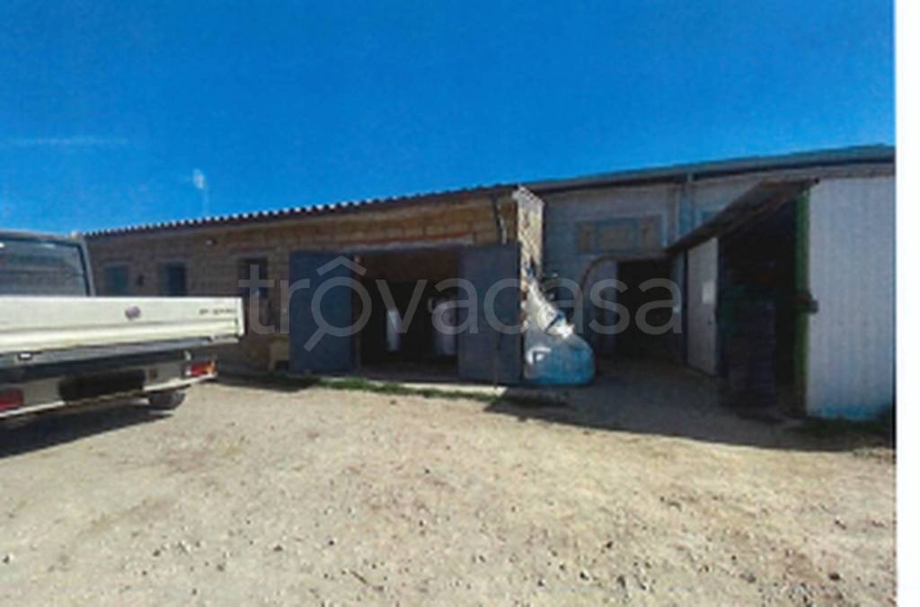 immagine annuncio 3 di 11