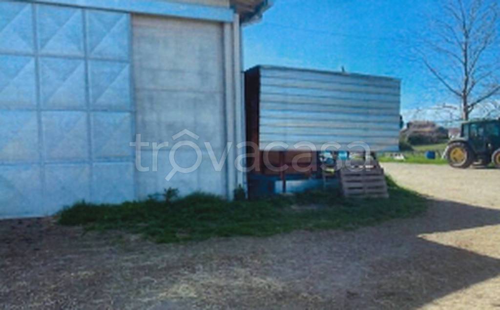 immagine annuncio 8 di 11