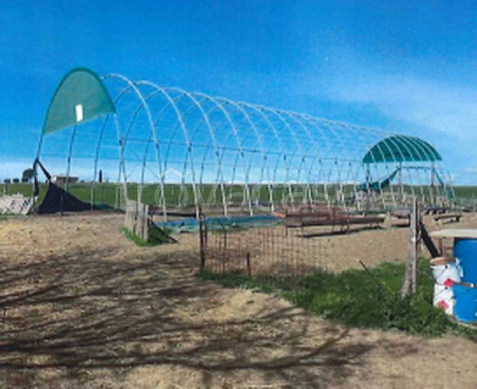 immagine annuncio 9 di 11