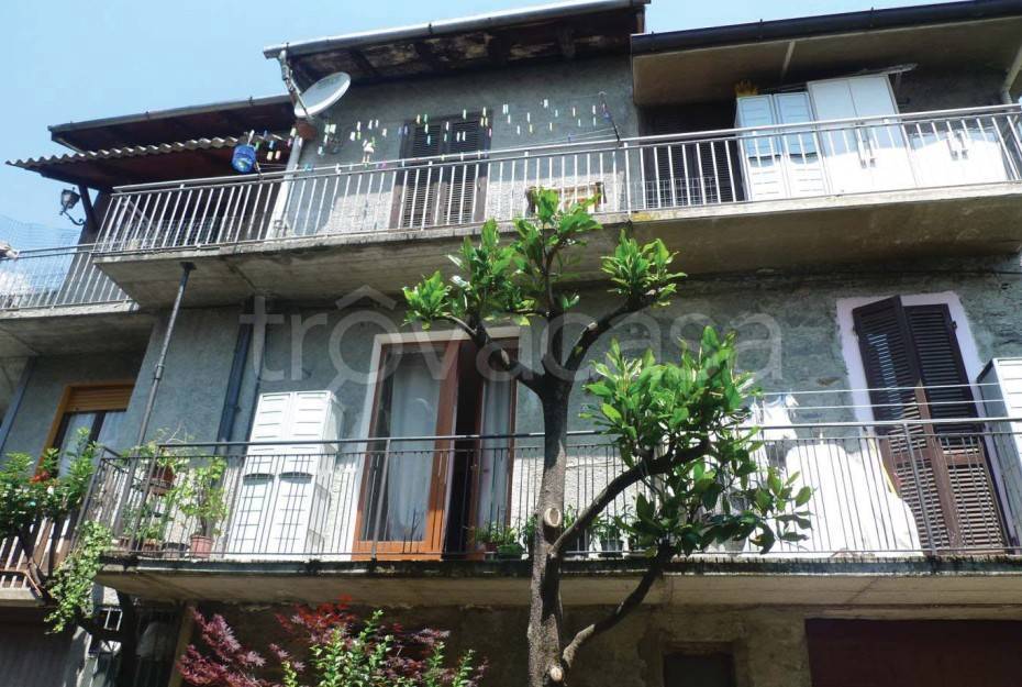 immagine annuncio 3 di 11