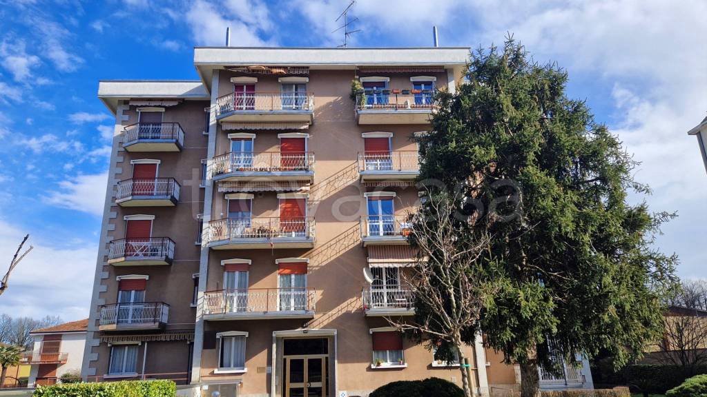 immagine annuncio 1 di 12